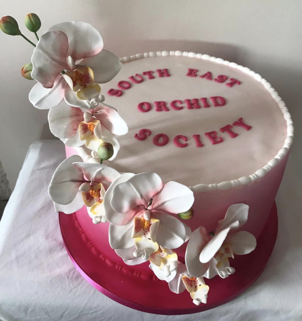 deep pink orchid cake with edible orchid flowers made in kent
