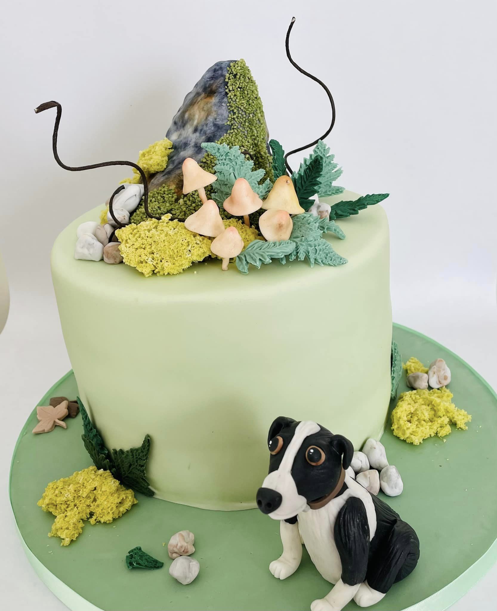 cake with mushrooms and a border collie made of icing fondant 