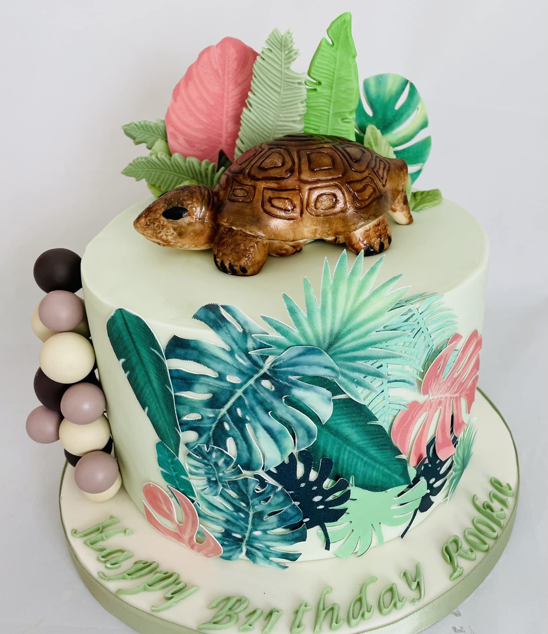 custom made tortoise occasion cake with cheese plant leaves 
